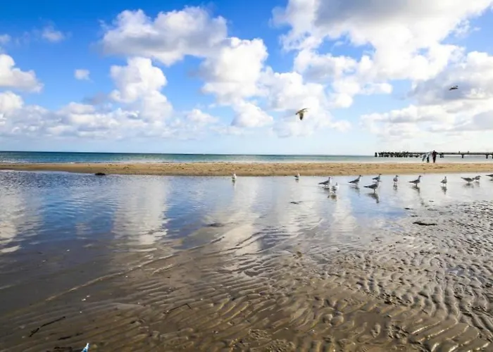 Appartement Seesternchen 1