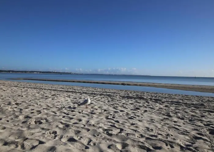 Seesternchen 1 Appartement